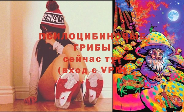мдпв Абаза
