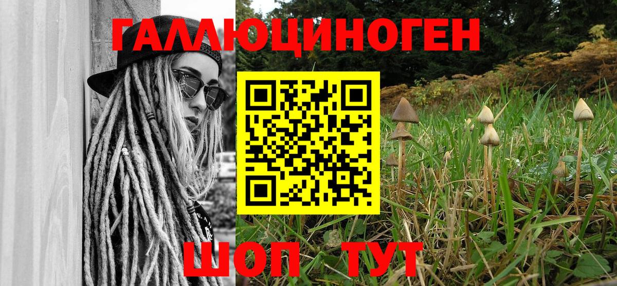 Псилоцибиновые грибы Psilocybine cubensis Знаменск